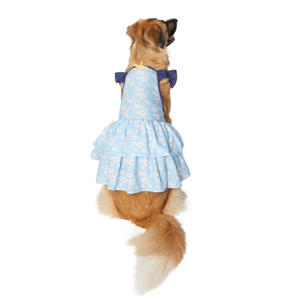 New Blue Daisies Dog & Cat Dress - Picture 4 of 6